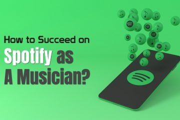 succeed on spotify as a musician