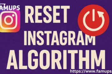 Reset Instagram Algorithm