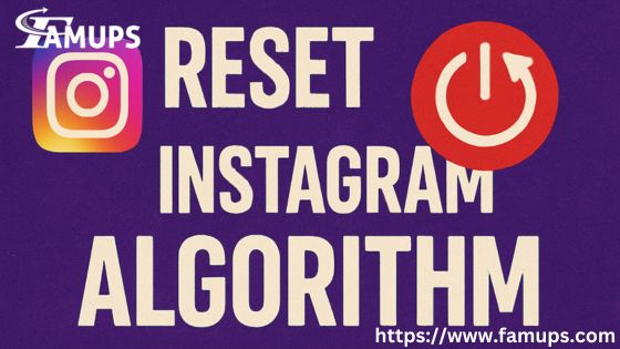 Reset Instagram Algorithm