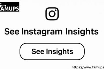 See Instagram Insights