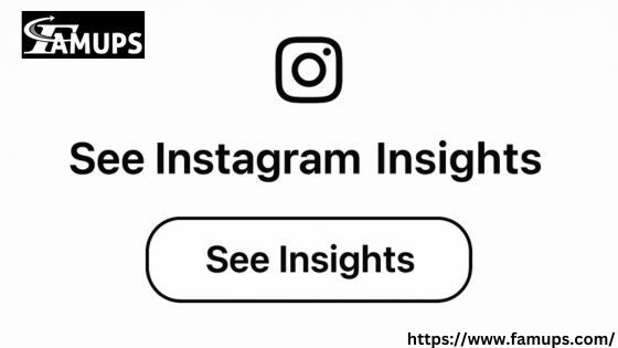 See Instagram Insights