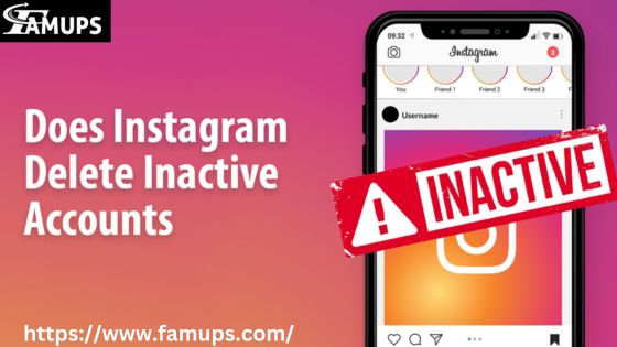 Instagram Delete Inactive Accounts