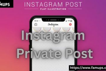 Instagram Private Post