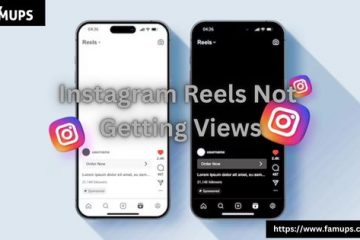 Instagram Reels Not Getting Views