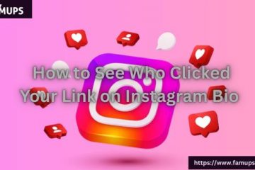 How to See Who Clicked Your Link on Instagram Bio