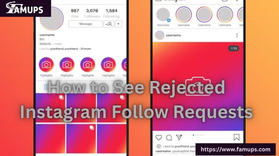 How to See Rejected Instagram Follow Requests