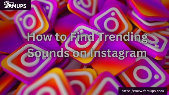 How to Find Trending Sounds on Instagram