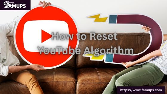 How to Reset YouTube Algorithm