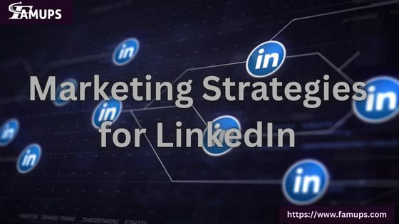 Marketing Strategies for LinkedIn