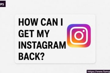 How Can I Get My Instagram Back
