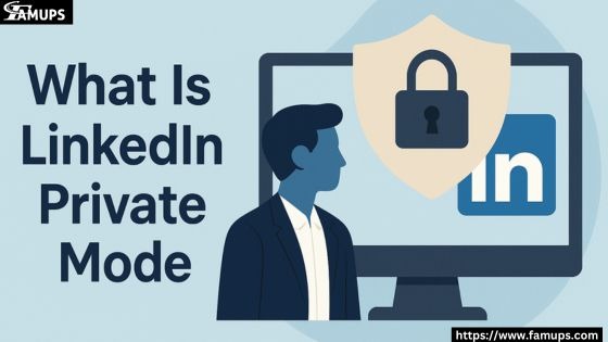 What Is LinkedIn Private Mode
