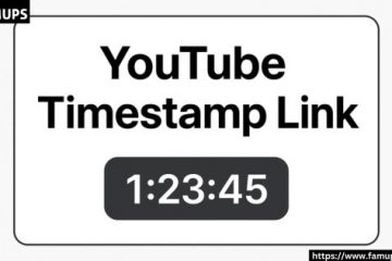 YouTube Timestamp Link