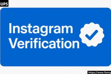Instagram Verification