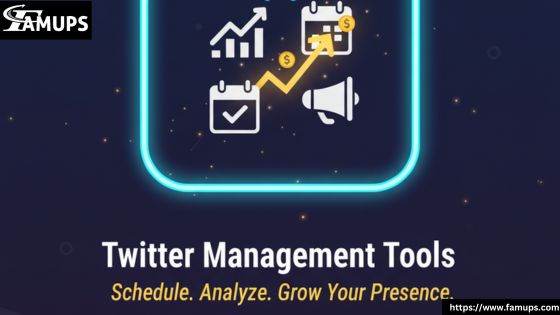 Twitter Management Tools